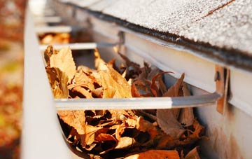 Broadbush gutter cleaning companies
