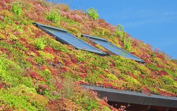 Broadbush living roof systems