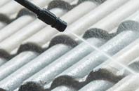 rated Broadbush roof cleaning companies