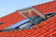 Broadbush roof window