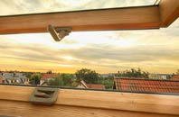 rated Broadbush roof window companies